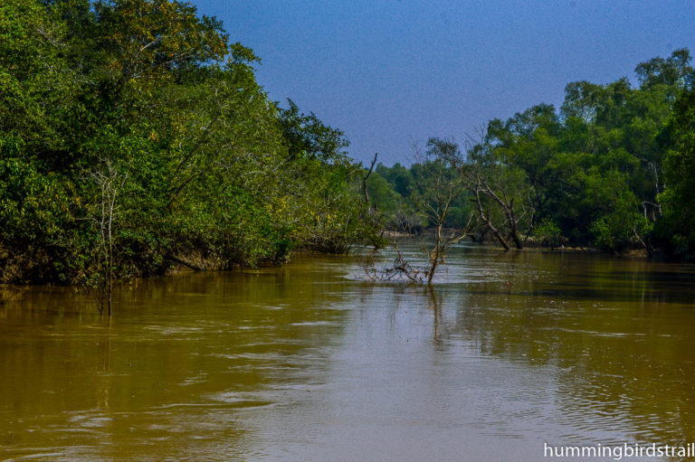 Baitarani River Archives - Hummingbird's Trail